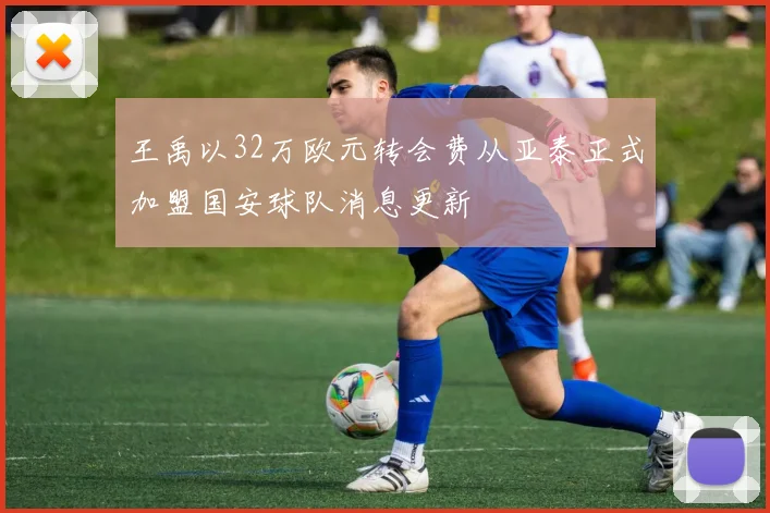 王禹以32万欧元转会费从亚泰正式加盟国安球队消息更新